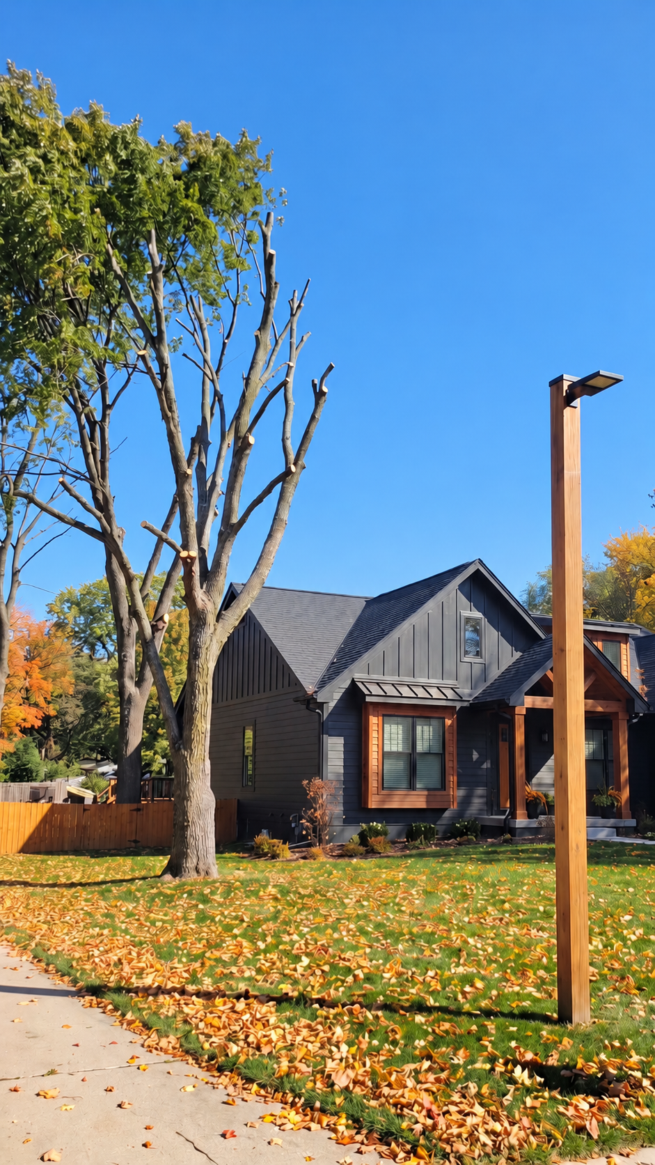 Large street tree freshly trimmed and pruned in front of a home in Warrensburg, MO